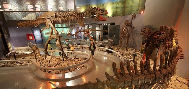 Museo del Desierto, Saltillo