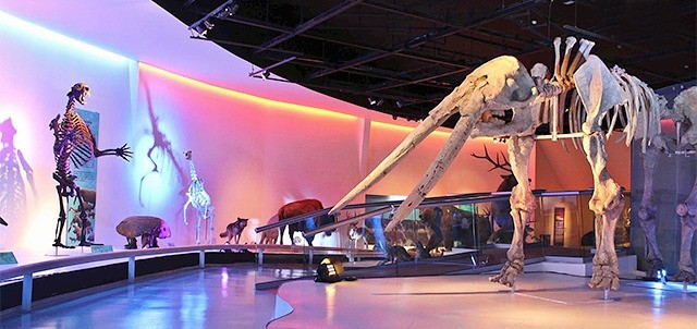Museo del Desierto, Saltillo