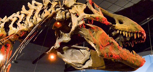 Museo del Desierto, Saltillo