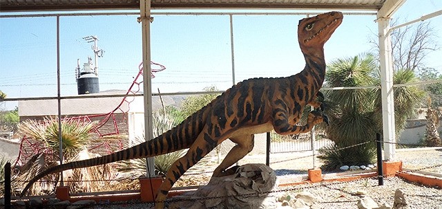 Museo Paleontológico de Rincón Colorado, Saltillo
