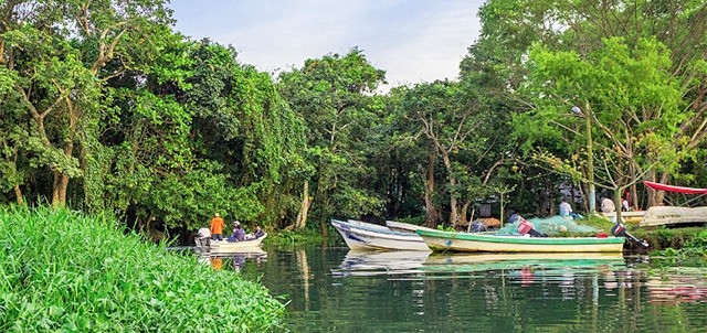 Laguna de Sontecomapan, Catemaco