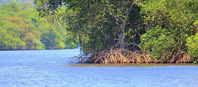Laguna de Sontecomapan, Catemaco