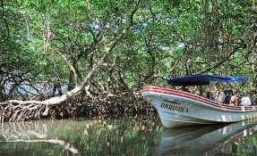Laguna de Sontecomapan