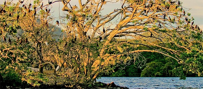 Laguna de Catemaco, Catemaco