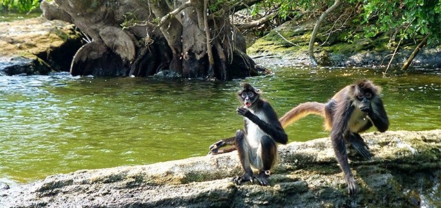 Laguna de Catemaco, Catemaco