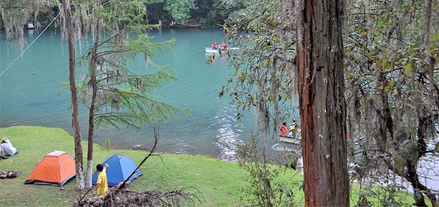 Bosque de las Truchas, San Miguel Regla ( Huasca de Ocampo )