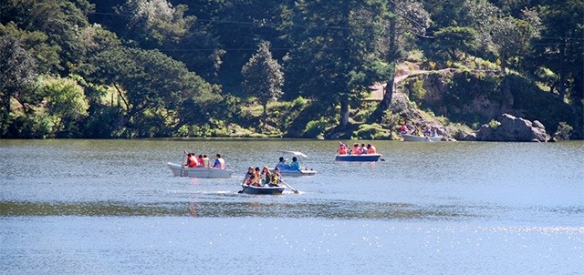 Parque Recreativo El Cedral, Mineral del Chico