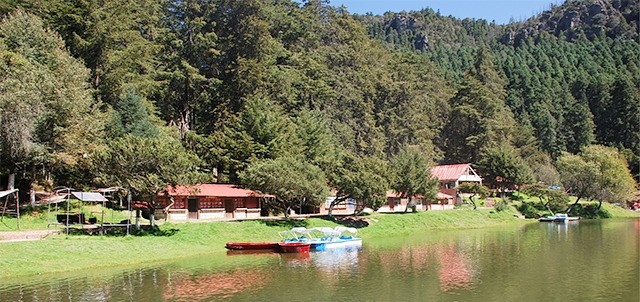 Parque Recreativo El Cedral, Mineral del Chico