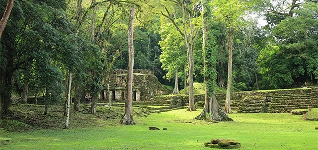 Zona Arqueológica Yaxchilán, Palenque