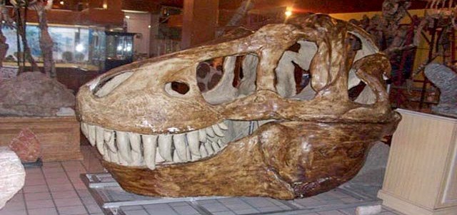 Museo de Paleontología, Ciudad Delicias