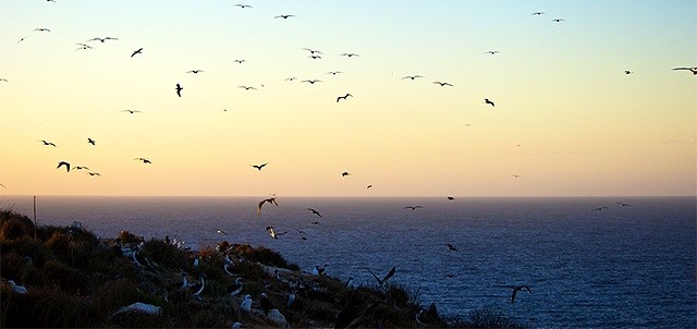 Parque Nacional Isla Isabel, San Blas