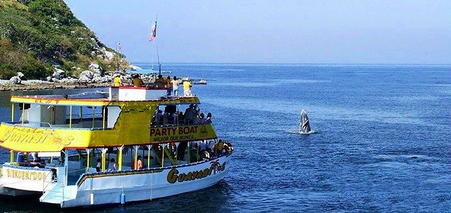 Barco Fiesta Guayabitos
