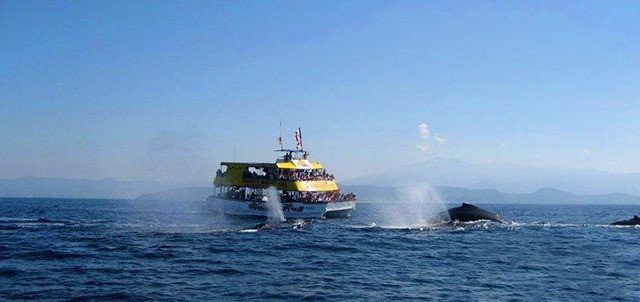 Barco Fiesta Guayabitos, Rincón de Guayabitos