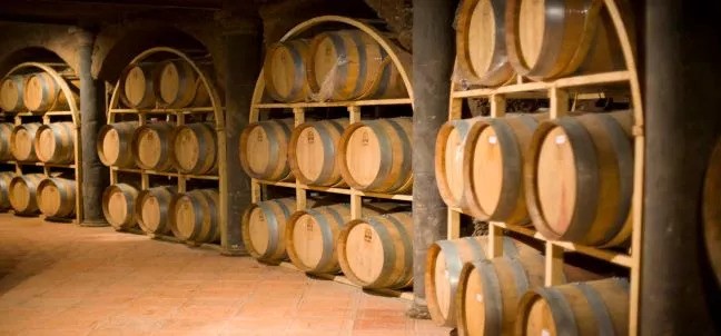 Viñedos de la Sierra de Santa Rosa, San Miguel de Allende