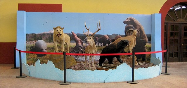 Museo Coahuila - Texas, Monclova