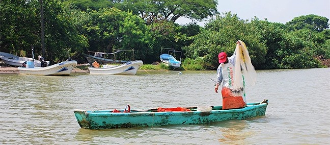Zona de Manglares y Esteros, Tecolutla