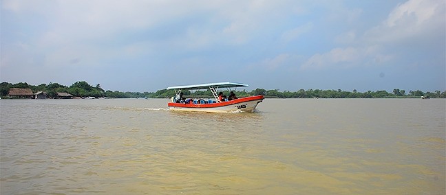 Zona de Manglares y Esteros, Tecolutla