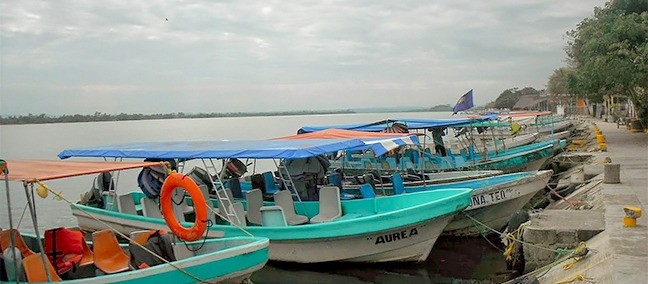Zona de Manglares y Esteros, Tecolutla