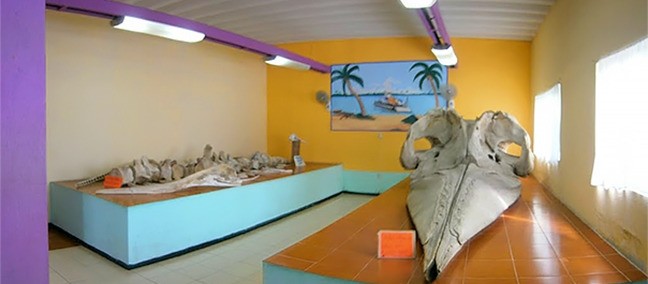 Museo Marino Comunitario, Tecolutla