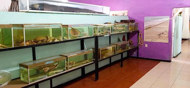 Museo Marino Comunitario, Tecolutla