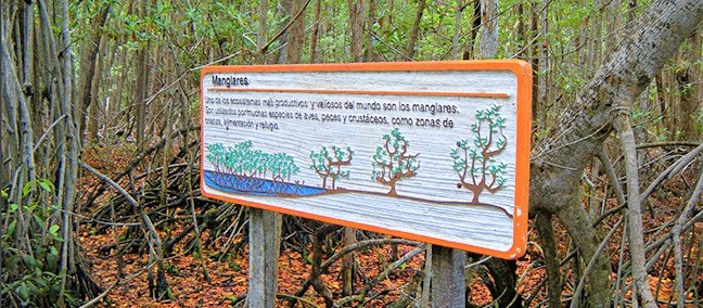 Reserva de la Biósfera Ría Celestún, Celestún