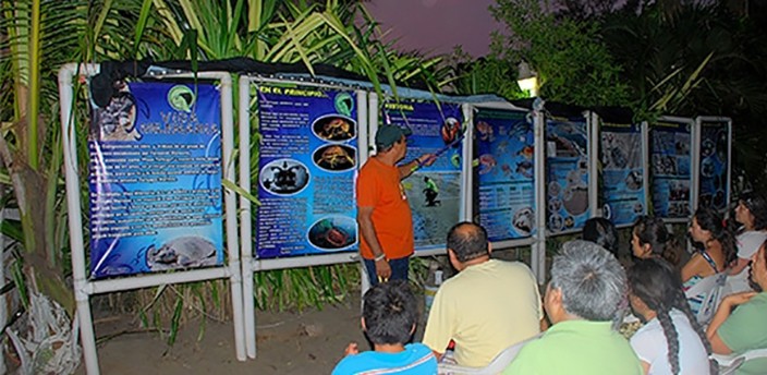 Campamento Tortuguero Vida Milenaria, Tecolutla