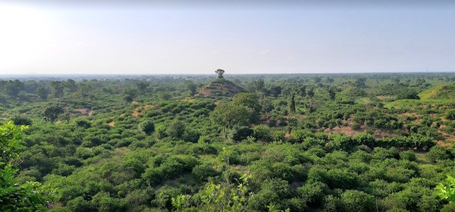 Zona Arqueológica El Pital, San Rafael