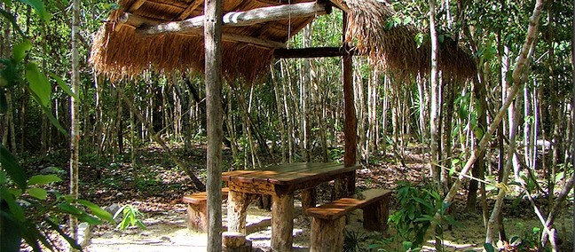 Cenote Las Mojarras, Puerto Morelos