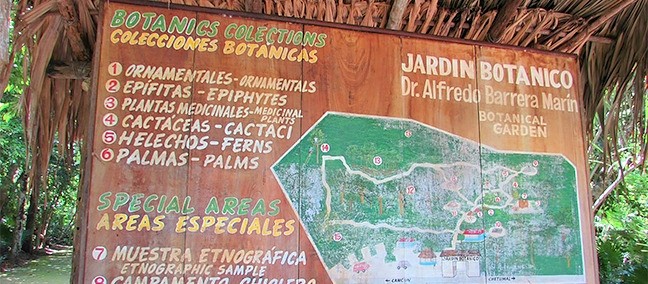 Jardín Botánico Dr. Alfredo Barrera Marín, Puerto Morelos