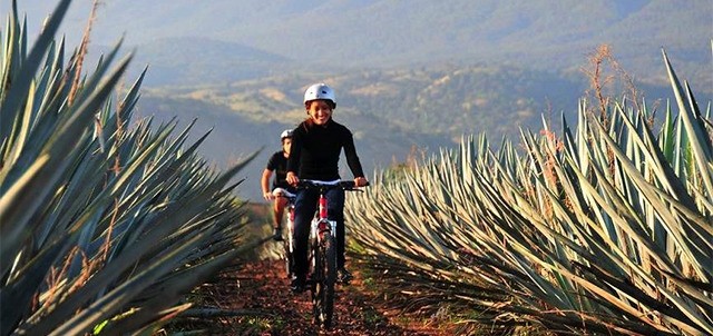 El Arenal, Tequila