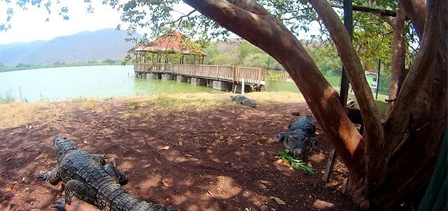 Cocodrilario, Tecomán