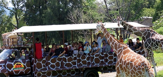 Zoológico de Guadalajara, Guadalajara