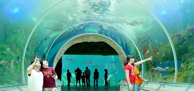 Zoológico de Guadalajara, Guadalajara