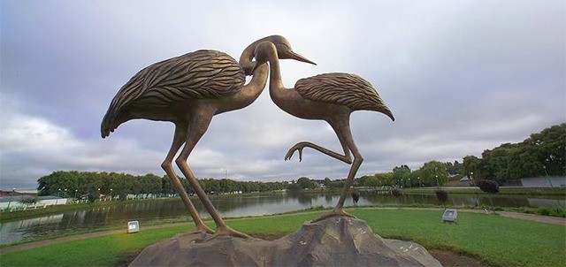 Lago las Garzas, Guachochi