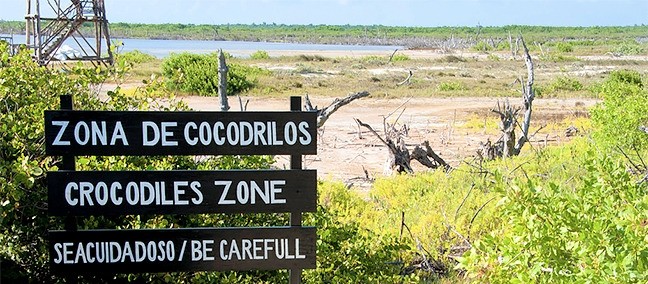 Playa y Parque Ecoturístico Punta Sur, Cozumel