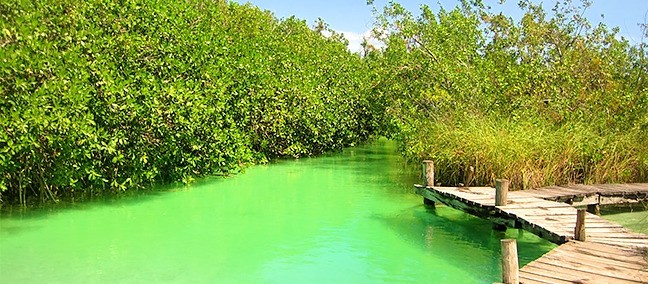 Reserva de la Biosfera de Sian Kaan, Tulum