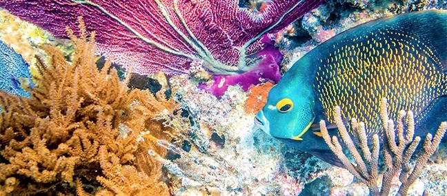 Reserva de la Biosfera de Sian Kaan, Tulum