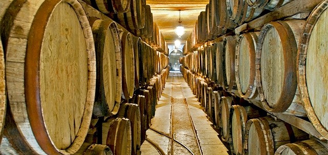 Bodegas Ferriño, Cuatro Ciénegas