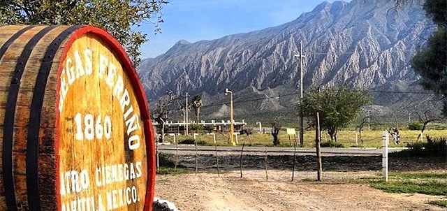 Bodegas Ferriño, Cuatro Ciénegas
