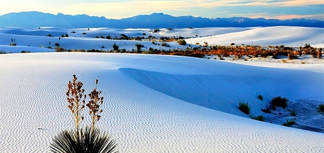 Dunas de Yeso, Cuatro Ciénegas