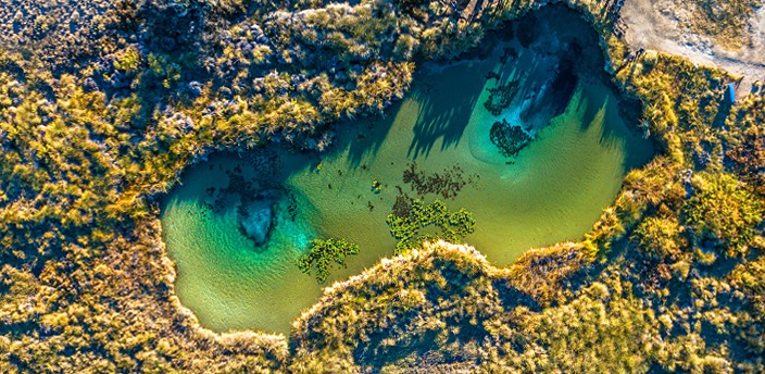 Reserva de la Biósfera Cuatro Ciénegas, Cuatro Ciénegas
