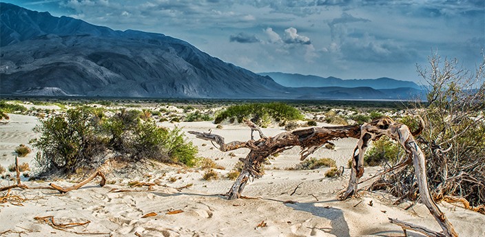 Reserva de la Biósfera Cuatro Ciénegas, Cuatro Ciénegas