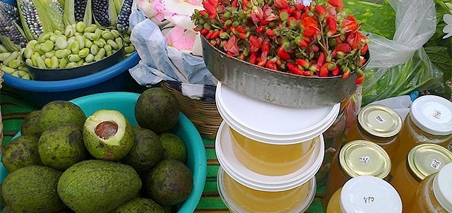 Mercado Orgánico Ameyalli Tecualli, Tepoztlán