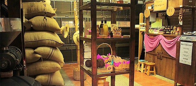 Museo del Café, Coatepec