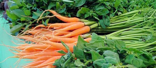 Mercado Coatl Bio-regional, Coatepec