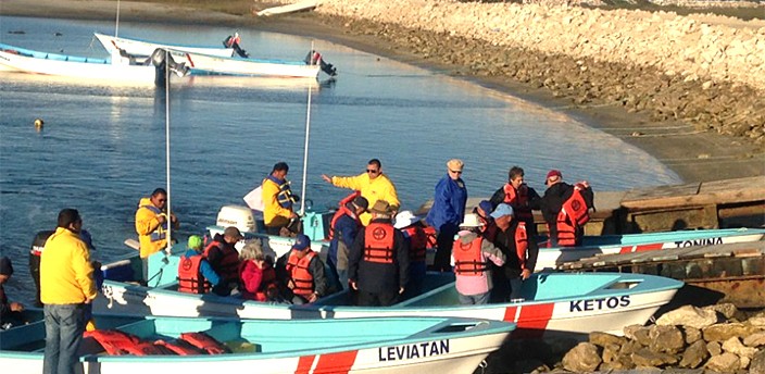 Avistamiento de Ballenas, Guerrero Negro