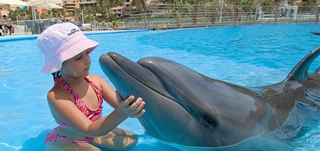 Nado con Delfines, Los Cabos