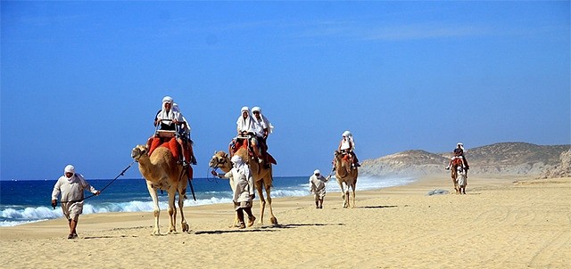 Outback & Camel Safari, Los Cabos