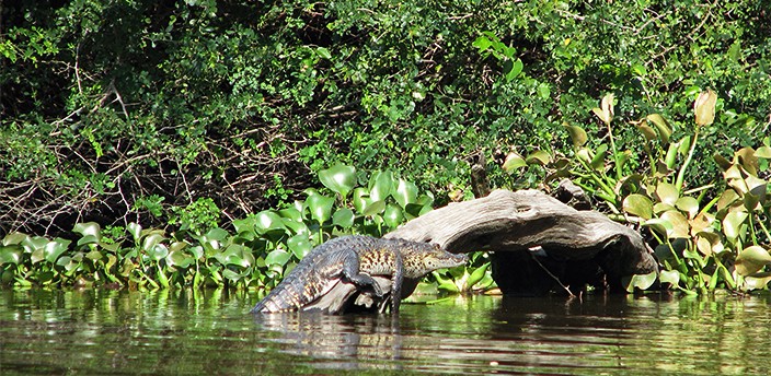 Reserva de la Biósfera Pantanos de Centla, Villahermosa