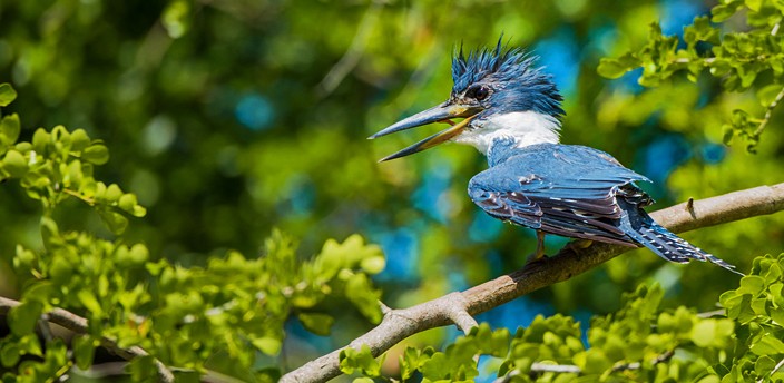 Reserva de la Biósfera Pantanos de Centla, Villahermosa
